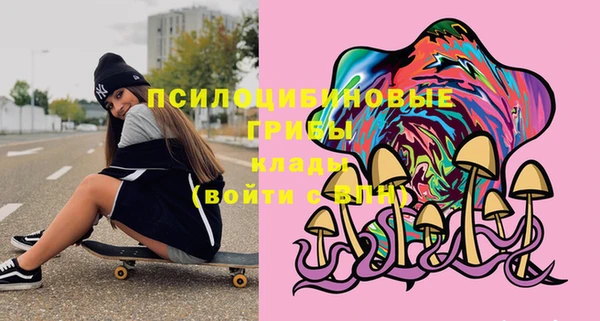 ПСИЛОЦИБИНОВЫЕ ГРИБЫ Зеленодольск