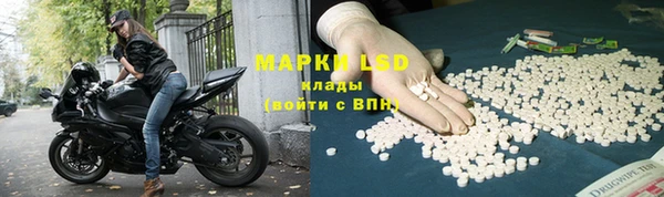ПСИЛОЦИБИНОВЫЕ ГРИБЫ Зеленодольск
