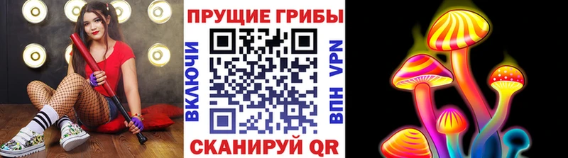 Псилоцибиновые грибы Psilocybine cubensis  Купить  Хилок 